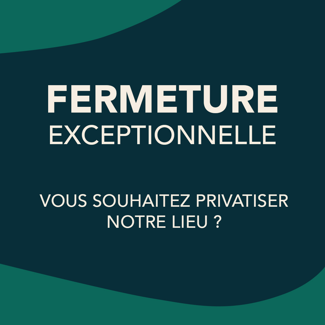 Concert poster for PRIVATISATION / Soirée privée